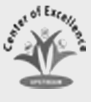 ebusiness