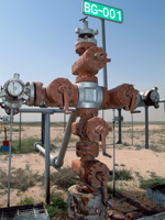 WellHead.JPG